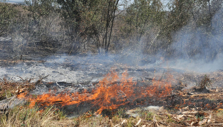 Четири нови пожара в района на Хасково днес