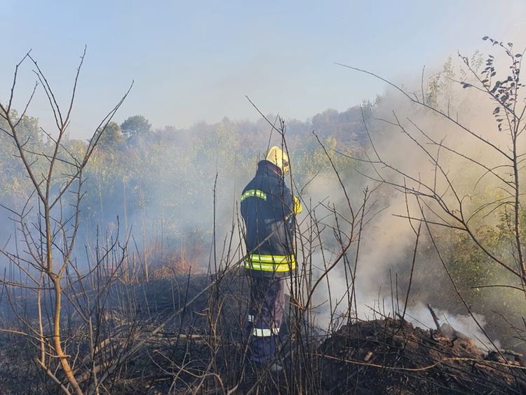 Пожарите в Хасковско потушени изцяло