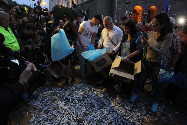 Ден 48: Протестиращи изсипаха риба пред МС, контрапротест с подписка