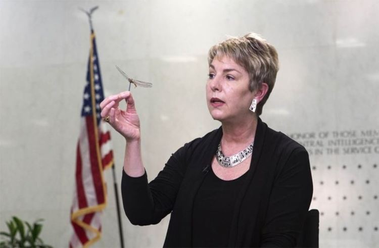 Бръмбар с камера, пън със сателитна връзка и още исторически шпионски устройства