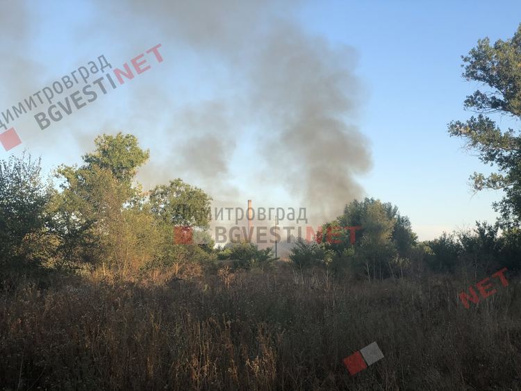 Нов пожар край Димитровград