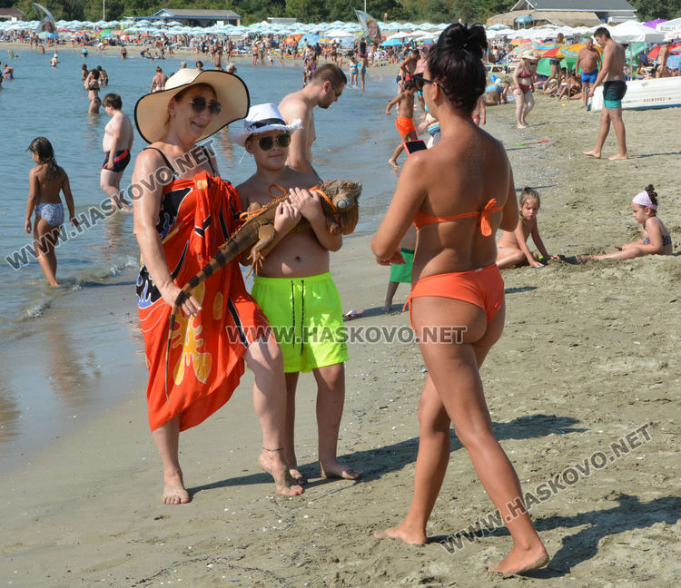 Селфи с игуана хит на плажа в Китен