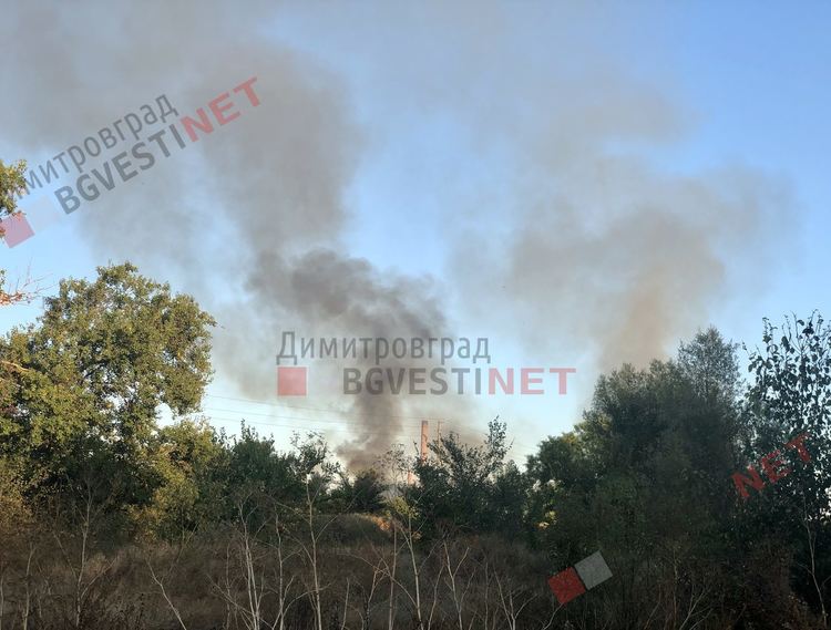 Нов пожар край Димитровград