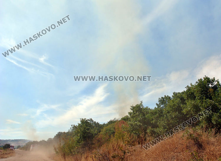 Горски пожар избухна край фотоволтаичен парк между Димитровград и Хасково