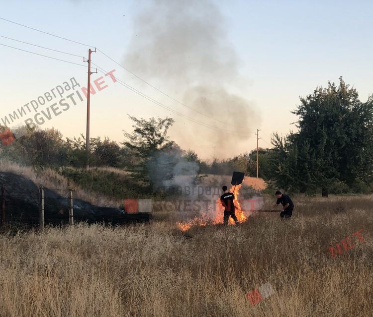 Нов пожар край Димитровград