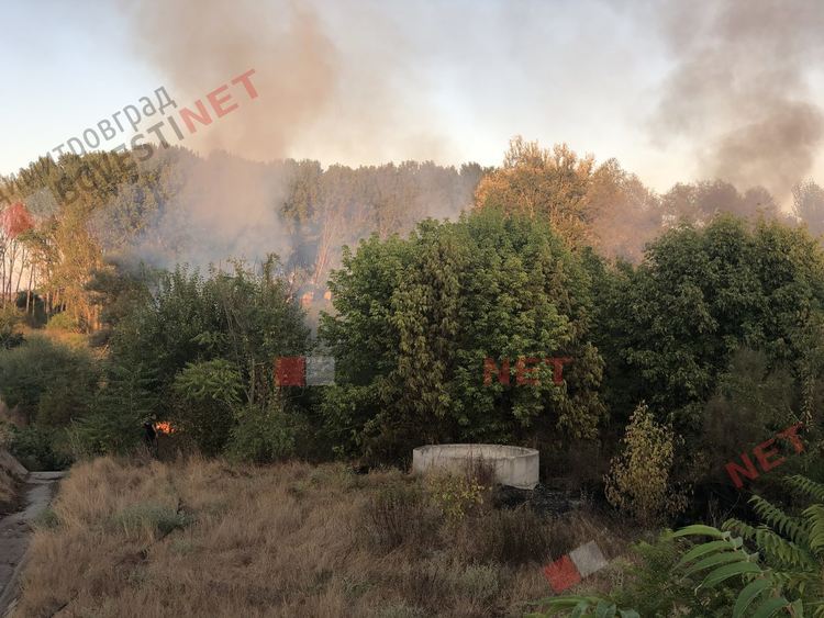 Нов пожар край Димитровград