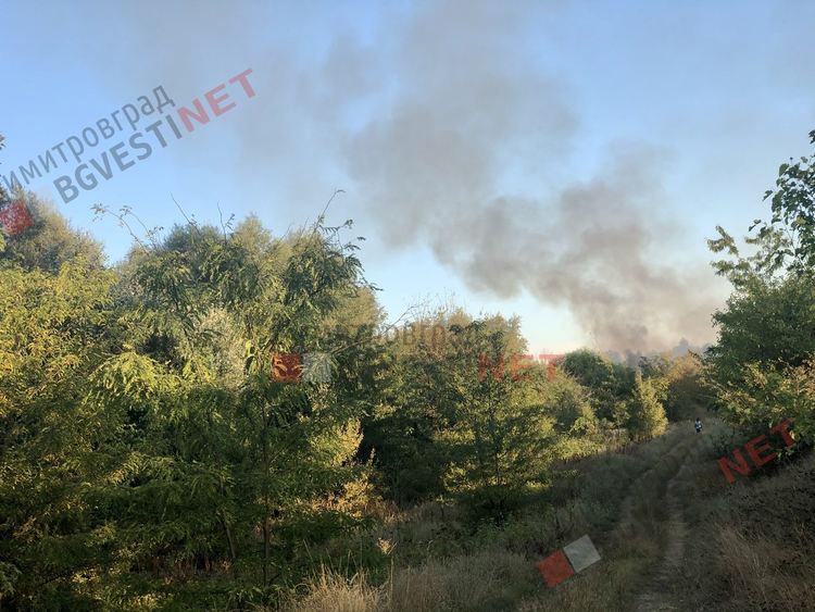 Нов пожар край Димитровград