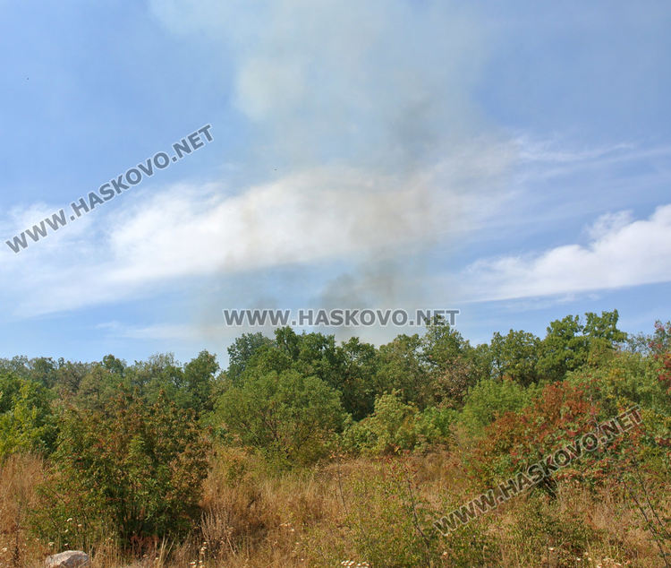 Горски пожар избухна край фотоволтаичен парк между Димитровград и Хасково