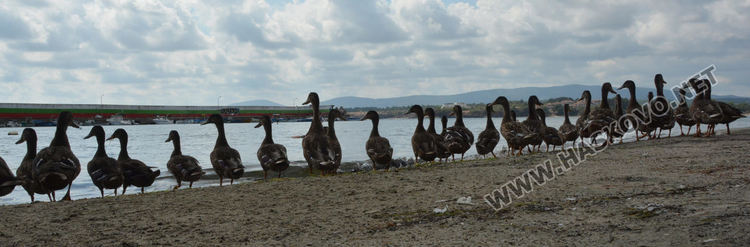 Слънчев петък