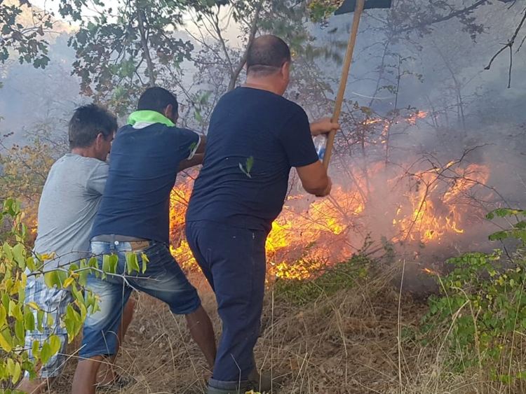 Доброволци се включиха в гасенето на пожара в местността Старото лозе
