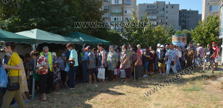 Пет овце курбан даде кметът на Димитровград за празника на града