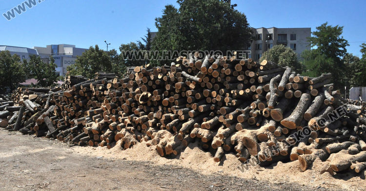 Хасковлии се запасяват с дърва. Въглища, брикети и пелети само в чували