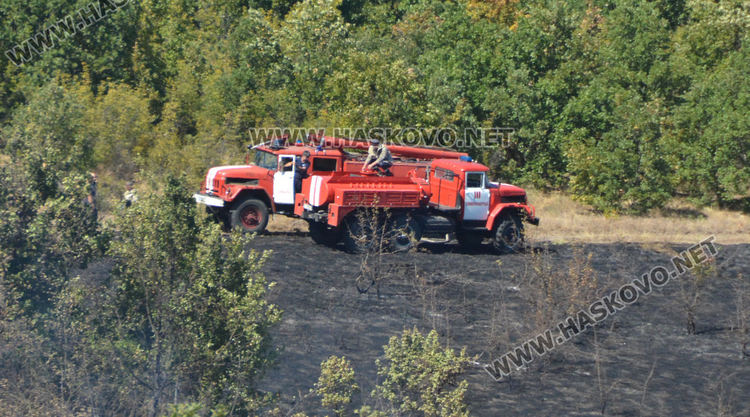 Възпламенил се камион подпали широколистна гора