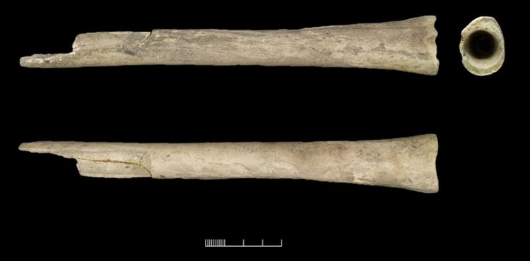 Музикален инструмент, направен от човешка бедрена кост, открит в погребение G58 на възрастен мъж, разположен в близост до Стоунхендж. Кредит: Музей Уилтшир