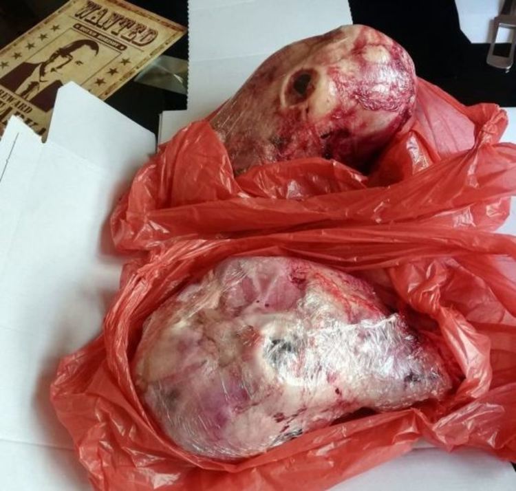 Изпратиха агнешки главички по пощата на адв. Николай Хаджигенов