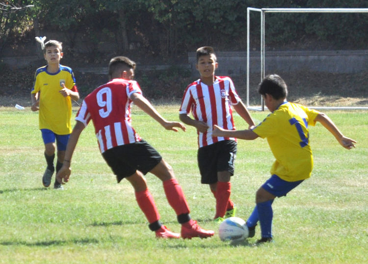 8 отбора от Хасковско се включиха в турнир „Децата и футболът“