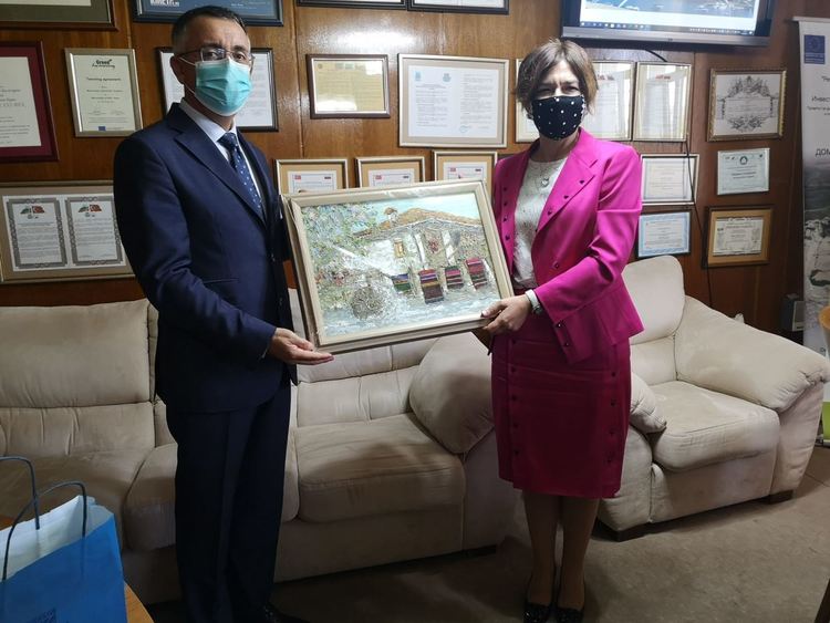 Три хиляди PCR-теста за COVID 19 дарява турското посолство на Кърджали