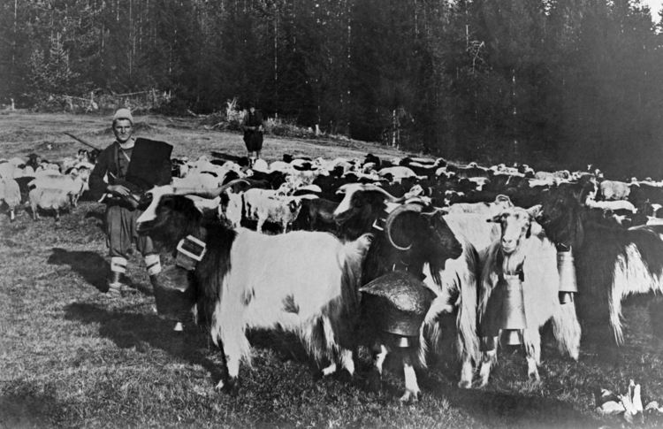 Фотоалбум с уникални фотографии от Чепеларе съставиха Зоица и Коста Начеви