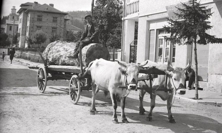 Фотоалбум с уникални фотографии от Чепеларе съставиха Зоица и Коста Начеви