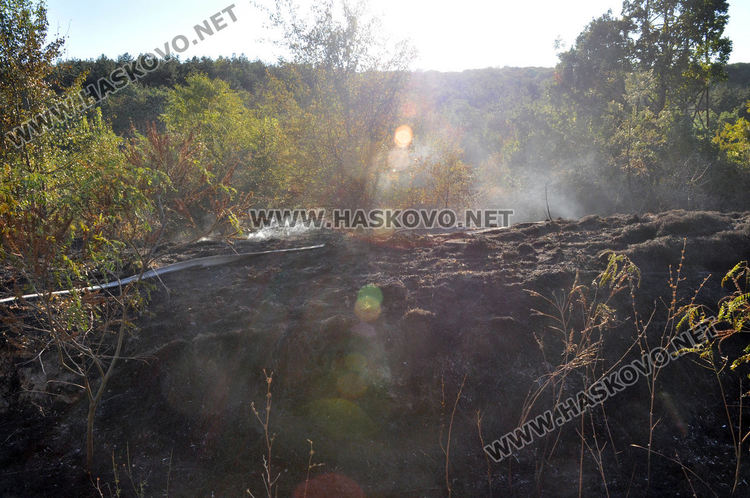 Пожар унищожи 3-4 дка гора и храсти в “Кенана”