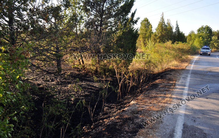 Пожар унищожи 3-4 дка гора и храсти в “Кенана”
