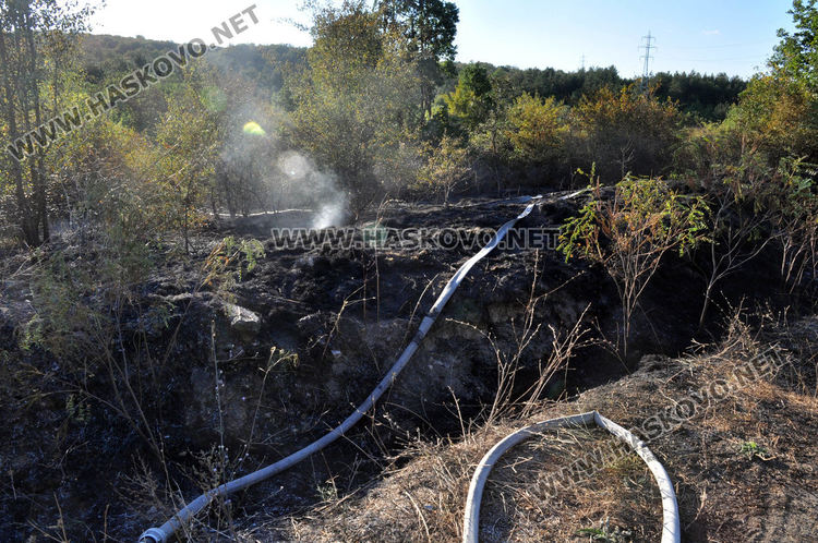 Пожар унищожи 3-4 дка гора и храсти в “Кенана”