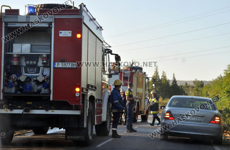 Пожар унищожи 3-4 дка гора и храсти в “Кенана”