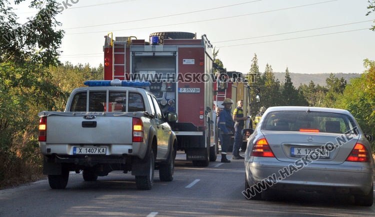 Пожар унищожи 3-4 дка гора и храсти в “Кенана”