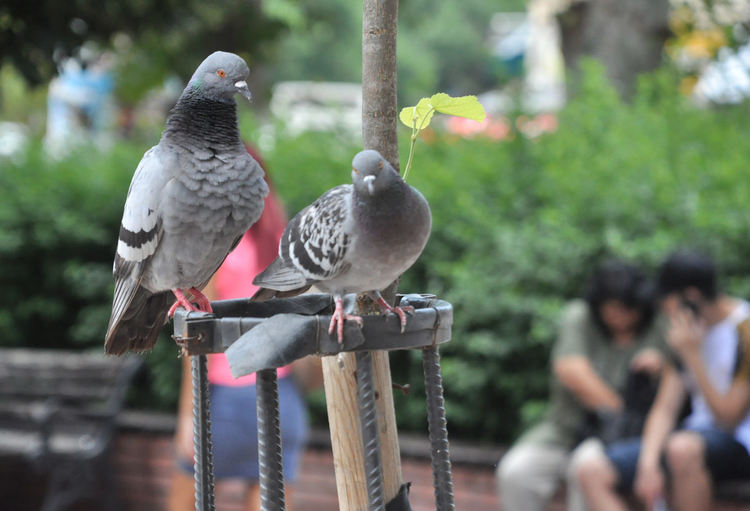 Слънчево и горещо в неделя