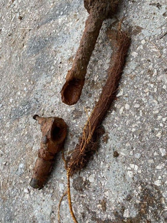 Дарител осигури вода в чешмите на новия гробищен парк в Асеновград