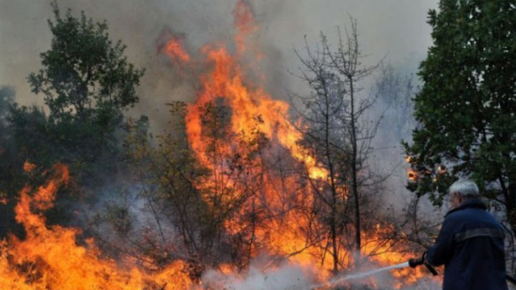 Горят хиляди декари гори край Девин