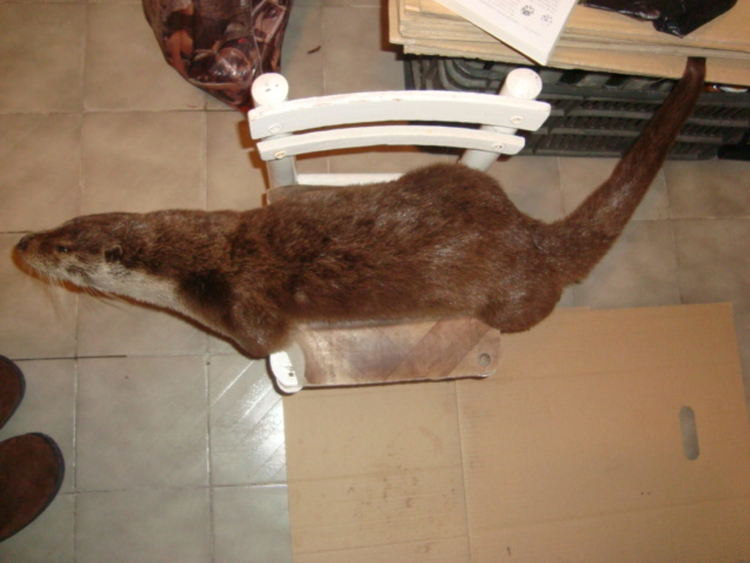 снимката е илюстративна