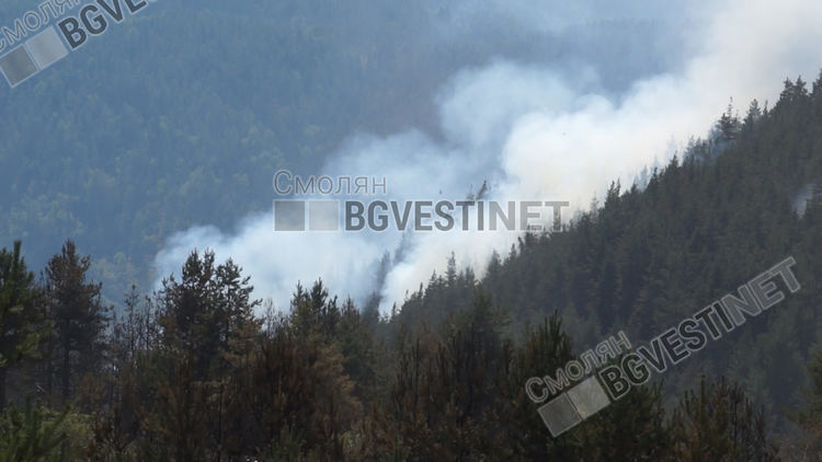 11-годишно дете причинило големия пожар край Девин, пламъците вече са потушени