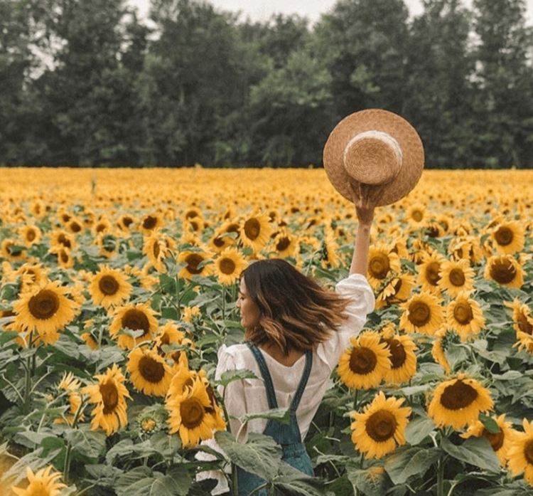 Августовски температури и слънчево време