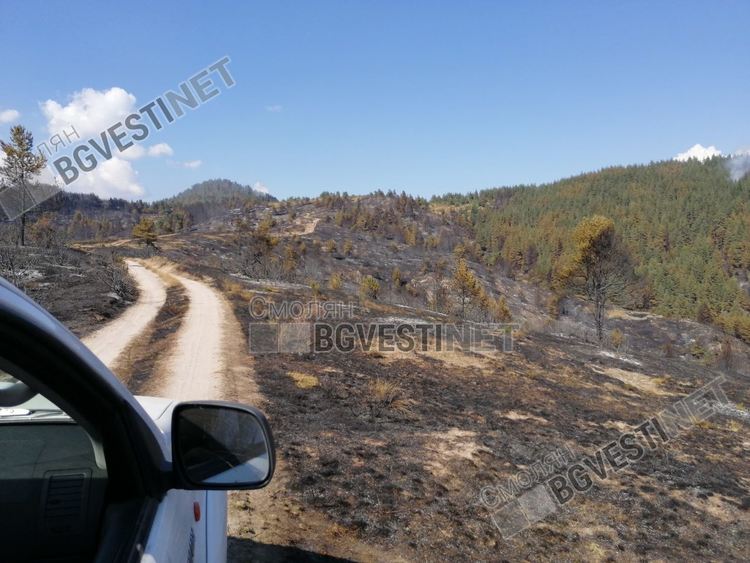 Снимка Йордан Йорданов