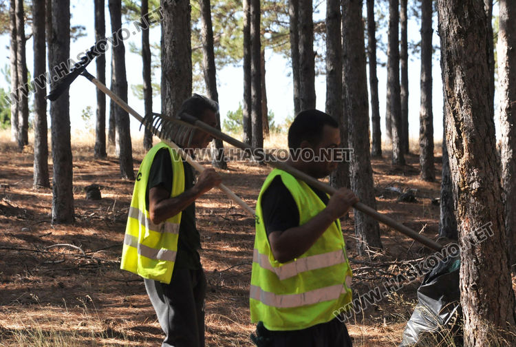 Три камиона боклуци за три часа изнесени от гората до бившия ТЕЦ