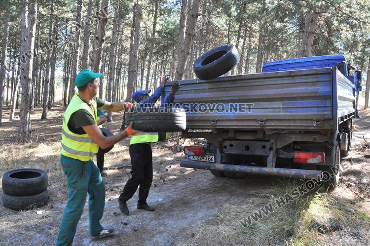 Три камиона боклуци за три часа изнесени от гората до бившия ТЕЦ