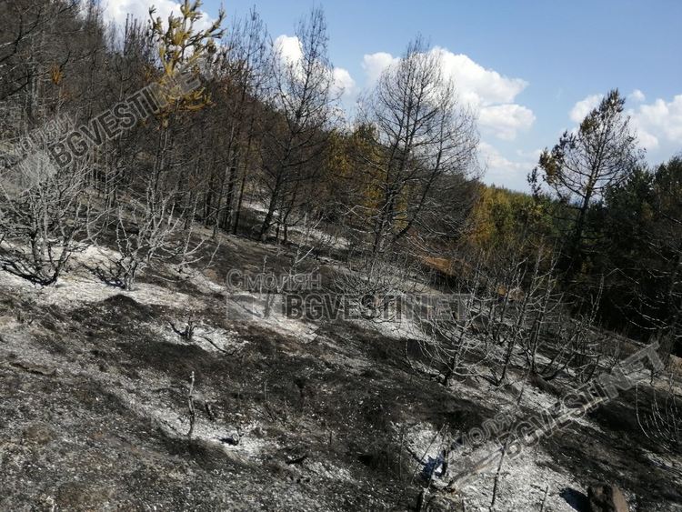 Снимка: Йордан Йорданов