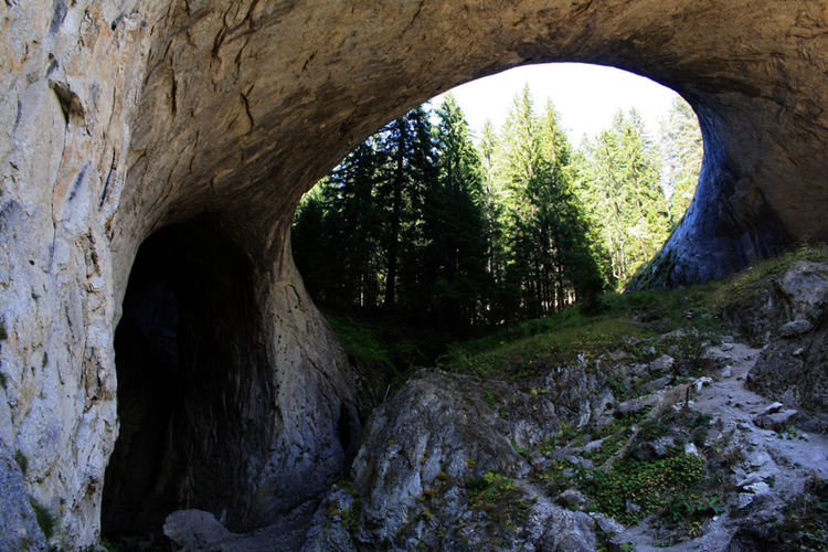 Емблематичният смолянски фотограф Сашо Сарандалиев издаде нов албум