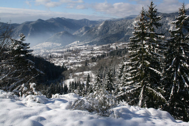 Емблематичният смолянски фотограф Сашо Сарандалиев издаде нов албум