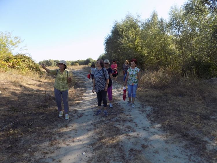 Локализиран е пожарът в Захарна фабрика