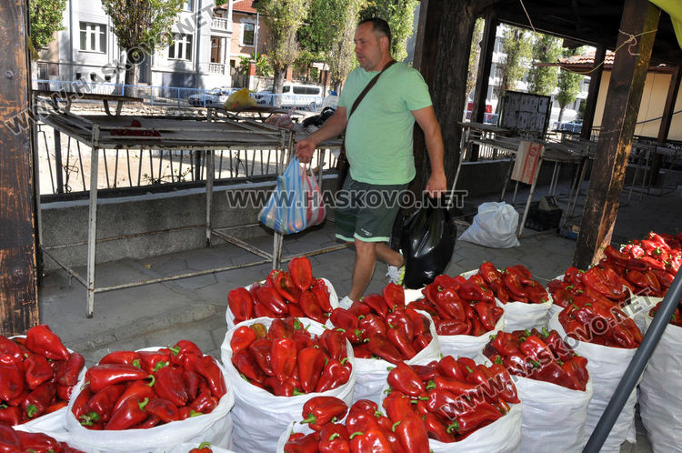 Изобилие от капия, патладжан, домати и грозде на Зеленчуковия пазар 