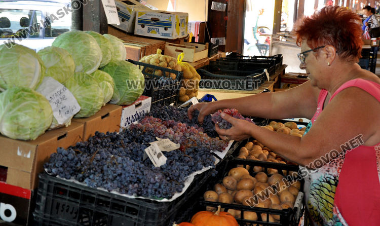 Изобилие от капия, патладжан, домати и грозде на Зеленчуковия пазар 