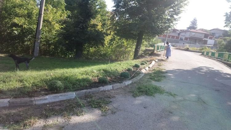 Бряговци  изчистиха центъра на селото си