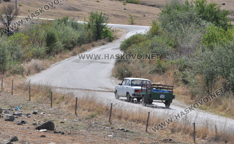 Грозде за вино и ракия ще има, въпреки сушата