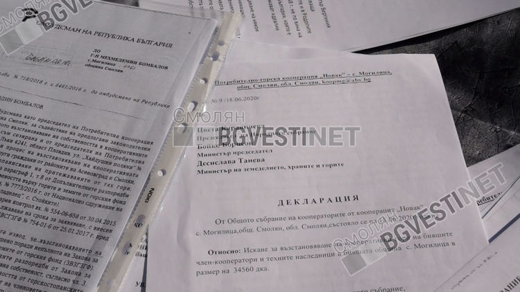 В Могилица повече от 20 години се борят за кооперативните си гори. Ще искат оставки