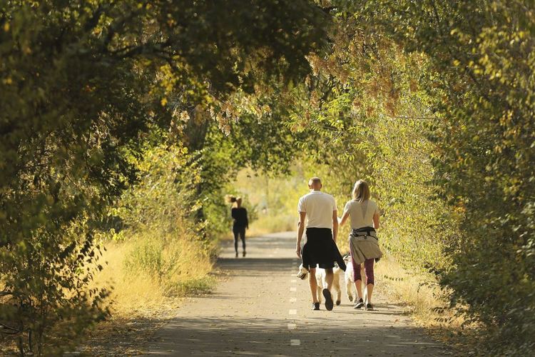 Слънчево в първия есенен ден