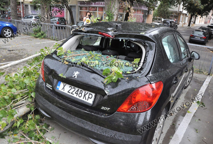 Клон от топола падна върху кола на паркинг пред полицията в Хасково