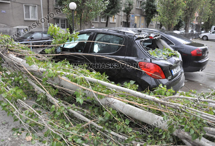 Клон от топола падна върху кола на паркинг пред полицията в Хасково