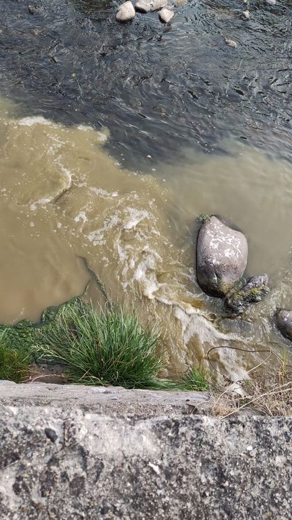 Мелемов  нареди проверка за замърсяването на река Черна